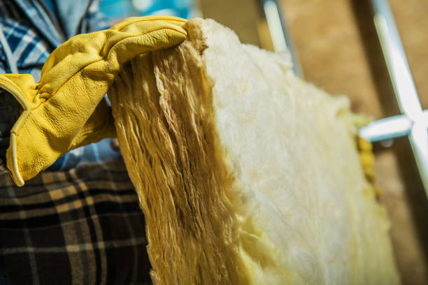 Best Blown-in Insulation in Oxon Hill, MD