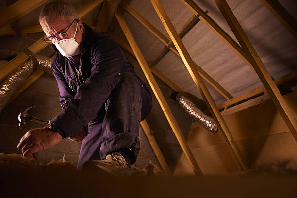 Types of Insulation We Offer in Oxon Hill, MD
